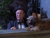 Edgar Buchanan & Higgins the Dog - Sitcoms Online Photo Galleries