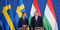 L’Ungheria ha infine ratificato l’ingresso della Svezia nella NATO - Il ...