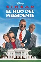 El hijo del presidente (película 1996) - Tráiler. resumen, reparto y ...