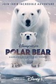 Osa polar (2022) - FilmAffinity