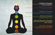 Chakra Chart - all the essential Information at a glance - 7wisdoms.org
