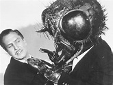 1950s Unlimited - The Fly; Vincent Price 1958 What is a...