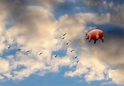 'Pigs on the Wing', la canción casi perfecta de Pink Floyd