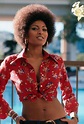 Stunning photos of Pam Grier in the 1970s - Rare Historical Photos