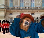 Buckingham Palace | Paddington bear, Teddy bear cartoon, Paddington
