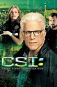 CSI: Crime Scene Investigation (2000, 2015) on DVD, Blu-Ray and Stream ...