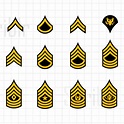 Police Rank Insignia for sale| 74 ads for used Police Rank Insignias