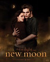The Twilight Saga: New Moon (2009) Poster #8 - Trailer Addict
