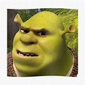 shrek meme face