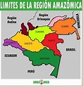 Limites de la region amazonica |LISTADO - La Región Amazónica