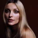 Today in History: Actress Sharon Tate found murdered - AOL News