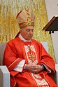 Novate: il cardinale Dionigi Tettamanzi celebra la Messa di Santo ...