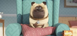 Confira dois comerciais da animação Pets: A Vida Secreta dos Bichos ...