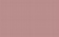 2560x1600 Rosy Brown Solid Color Background