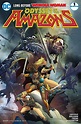 Odyssey Of The Amazons (DC Comics)