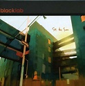 Black Lab: See The Sun (CD) – jpc
