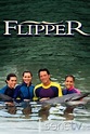 Las nuevas aventuras de Flipper - Serie Tv (Aventura)