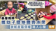 在職媽媽 ︳基層媽媽寒風下擺檔賣水果 幼兒藏身紙皮箱取暖路人心酸 - 晴報 - 家庭 - 家居 - D220123