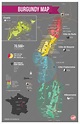 Burgundy Regional Wine Map | Burgundy wine map, Wine map, Wine folly