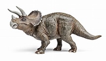 Tricerátops - Espécies de Dinossauros - InfoEscola