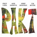PAKT Percy Jones, Alex Skolnick, Kenny Grohowski, Tim Motzer : PAKT reviews