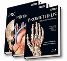 Coleção Prometheus - Atlas de Anatomia 3 Volumes PDF Michael Schünke, Erik Schulte, Udo Schumacher