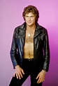 Don't Hassle The Hoff! 30 Cheesy Portraits of David Hasselhoff Like You ...