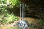 Colditz Cove State Natural Area – Tennessee | Hiking trip, Cove, Places ...
