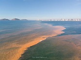 Marea roja cubre bahía de Mazatlán; es bioluminiscente | Son Playas