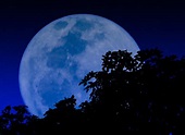 Learn English Idioms: Once in a Blue Moon - International Bears
