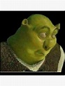 Shrek Face Meme Premium Matte Vertical Poster Designed & Sold By Gary ...
