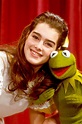 Brooke Shields on "The Muppet Show" in 1980.