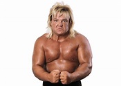 Greg Valentine: Profile, Career Stats, Face/Heel Turns, Titles Won ...