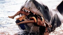 "Der Weiße Hai": Kultfilm von Steven Spielberg wird 40