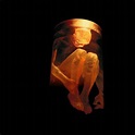 Nothing Safe - The Best Of The Box — Alice in Chains | Last.fm