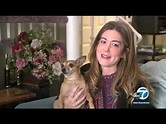 VIDEO VIRAL: Casper, el chihuahua que es tendencia por sus adorables ...