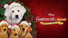 Watch Supercuccioli a Natale - Alla Ricerca di zampa Natale | Full ...