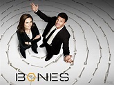 Film and Television Confessional: Bones Season 1-7