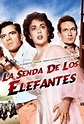 La senda de los elefantes (1954) Película - PLAY Cine