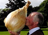 Colossal cauliflower smashes world record - BT