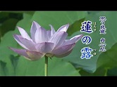 蓮の露（はちすのつゆ）－良寛と貞心尼のほのかな愛を唄う - YouTube