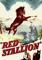 The Red Stallion - película: Ver online en español