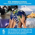 DÍA INTERNACIONAL PARA LA REDUCCIÓN DE DESASTRES - CESE Consultores