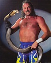 Stardom To Struggles: Exploring Jake "The Snake" Roberts' Turbulent WCW ...