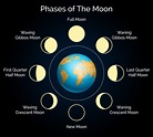 Phases and Full Moon Names | B&H eXplora
