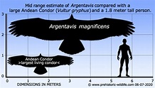Argentavis - Alchetron, The Free Social Encyclopedia