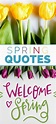 21 Amazing Spring Quotes - The Cheerful Cook