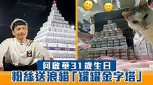 Dee哥何啟華31歲生日 粉絲送浪貓「罐罐金字塔」 | Now 新聞