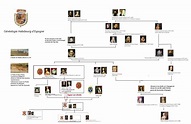 Habsburg - Spain | Royal lineage, Royal family trees, Genealogy chart