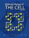 Molecular Biology of the Cell, 6th Edition by Bruce Alberts, Paperback ...